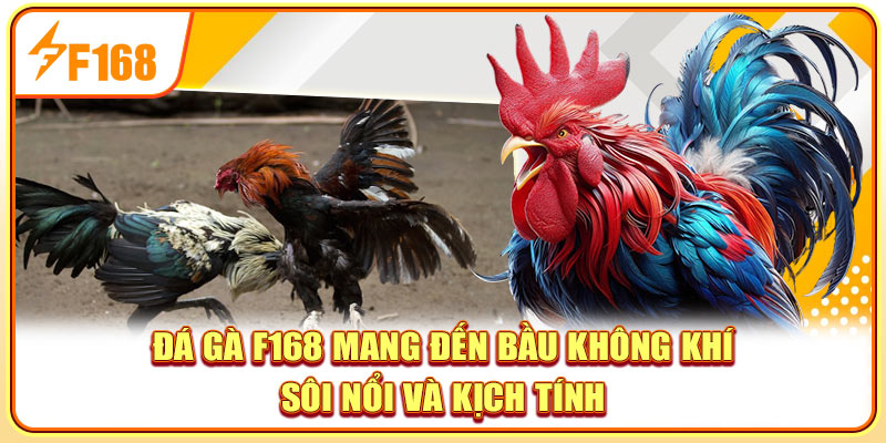 Đá gà F168 mang đến bầu không khí sôi nổi và kịch tính