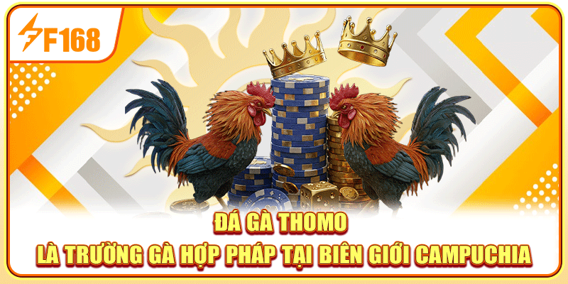 Đá gà Thomo là trường gà hợp pháp tại biên giới Campuchia