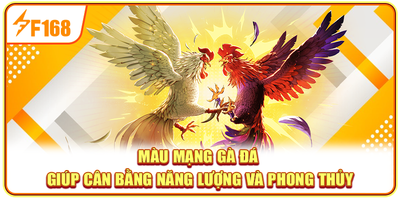 Màu mạng gà đá giúp cân bằng năng lượng và phong thủy