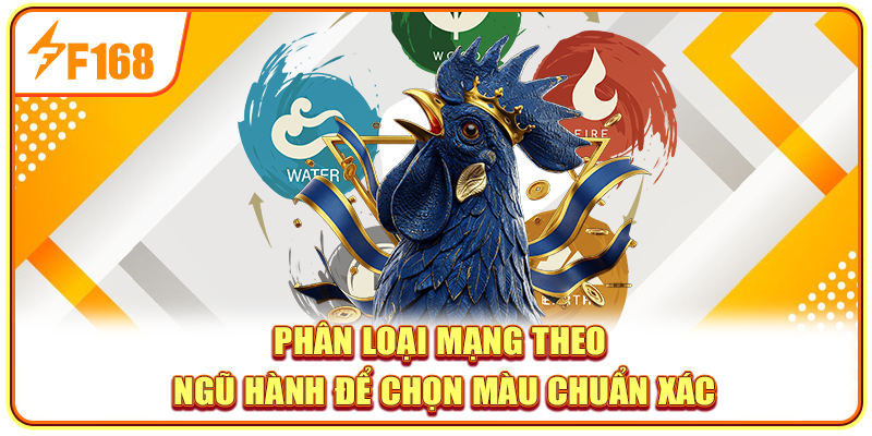 Phân loại mạng theo ngũ hành để chọn màu chuẩn xác