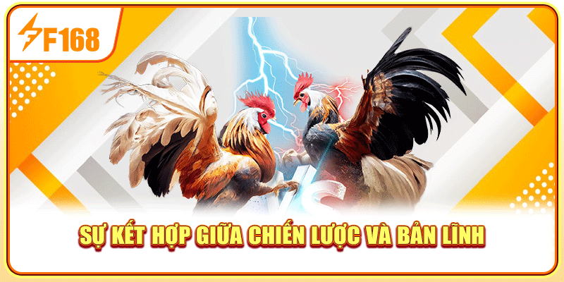 Sự kết hợp giữa chiến lược & bản lĩnh